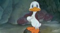 The Ugly Duckling
